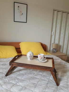 Apartman Putnik Sokobanja